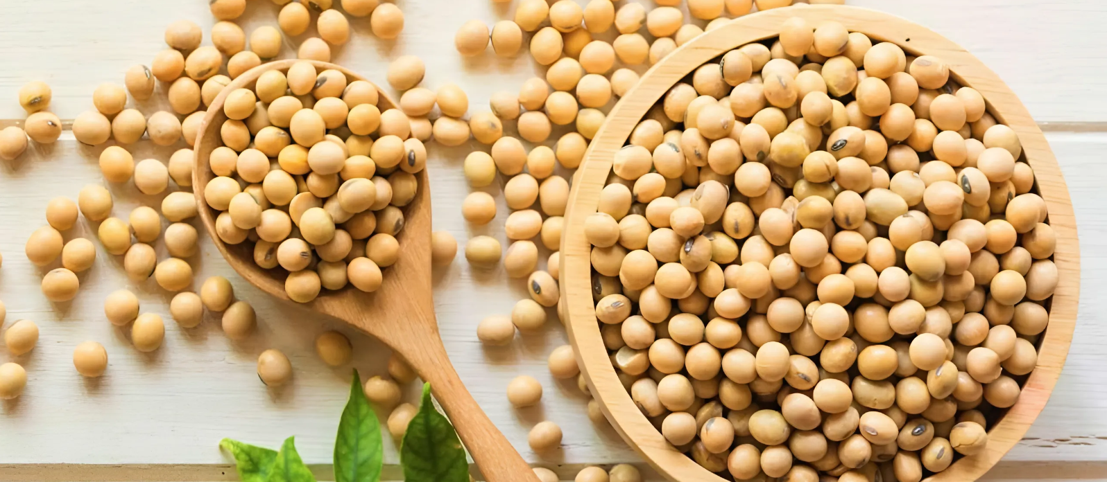 Соя в колбасе: чем опасна и где искать натуральный продукт? Разбор состава и обзор белорусских мясных изделий